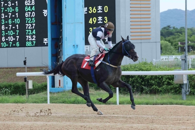 2023년 농림축산식품부장관배 우승 글로벌히트와 김혜선 기수./한국마사회