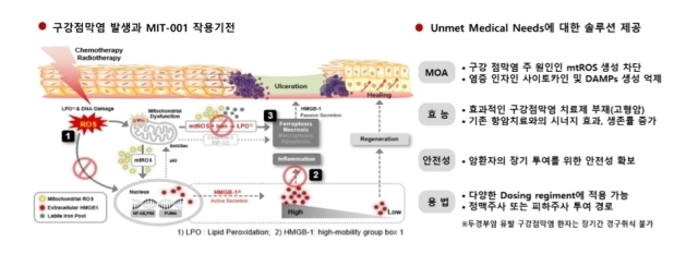 미토이뮨의 구강점막염 MIT-001 소개./미토이뮨테라퓨틱스