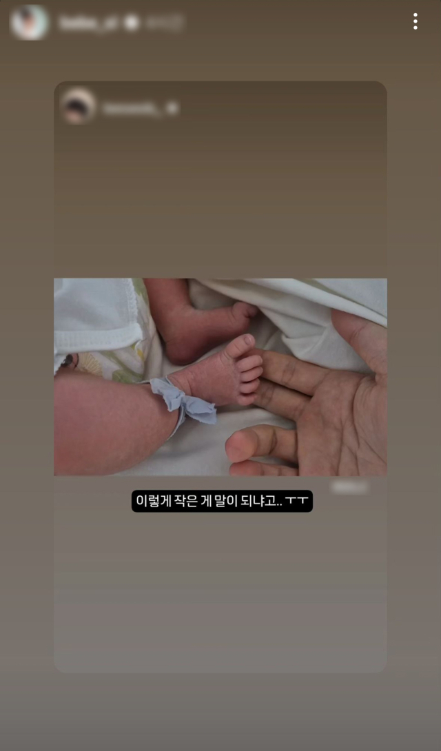 근황을 공개한 유튜버 심리섭의 아내이자 가수 겸 배우 배슬기./가수 겸 배우 배슬기 SNS