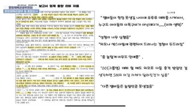 24일 진행된 국정감사에 증인으로 출석한 김태호 하이브 대표를 상대로 하이브가 아동·청소년 권익 보호 가이드라인을 위반했다는 의혹과 관련한 질의가 이뤄졌다. /유튜브 채널 ‘NATV 국회방송’