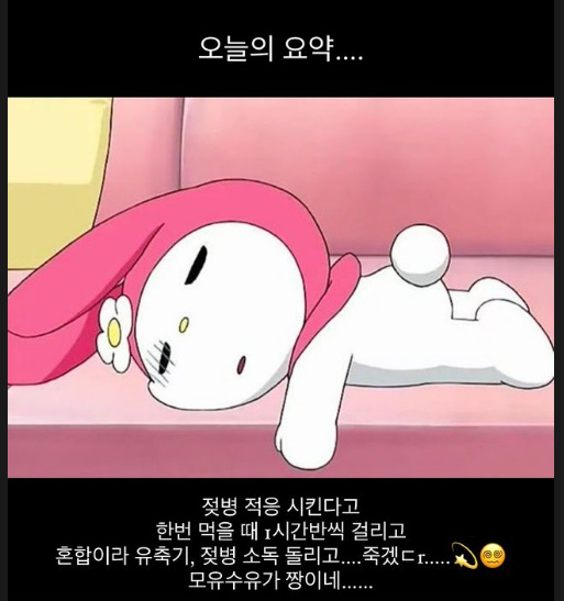 아야네 소셜미디어