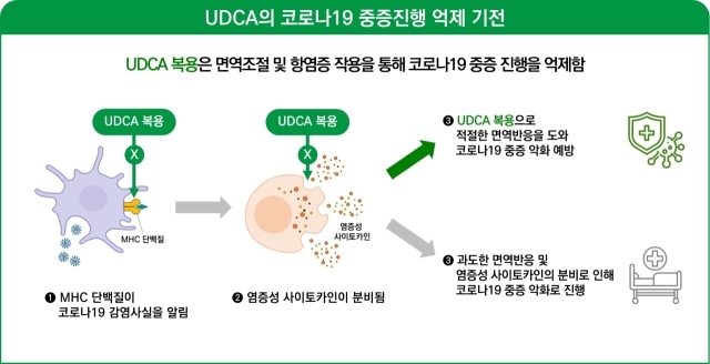 대웅제약 간 기능 개선제 우루사 주성분인 UDCA(우르소데옥시콜산)를 복용한 간질환 환자의 코로나19 예방·중증 위험도 감소 효과를 입증한 연구 결과가 SCI(과학기술 인용색인)급 국제 학술지 바이러스학 저널에 게재됐다. /대웅제약