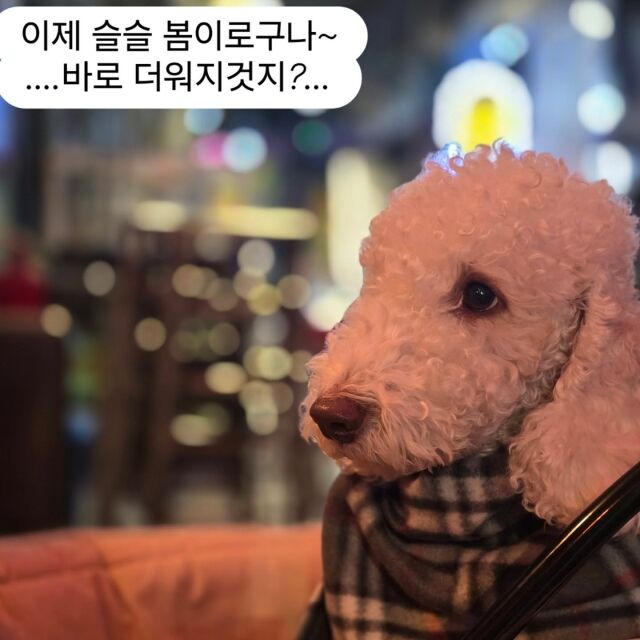 가수 겸 배우 알렉스가 게재한 글/알렉스 인스타그램